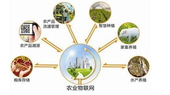 菜市场农产品追溯系统定制开发 信息技术赋能食品安全新生态